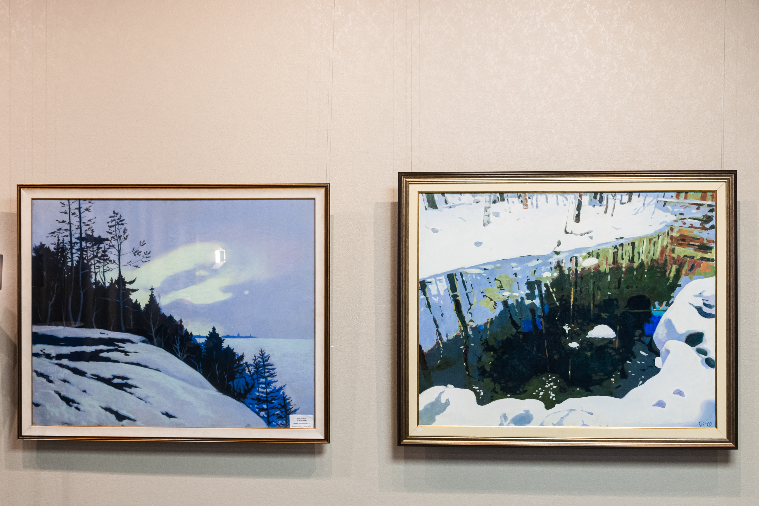 Вся красота зимы предстала на выставке Петра Гамаюнова8