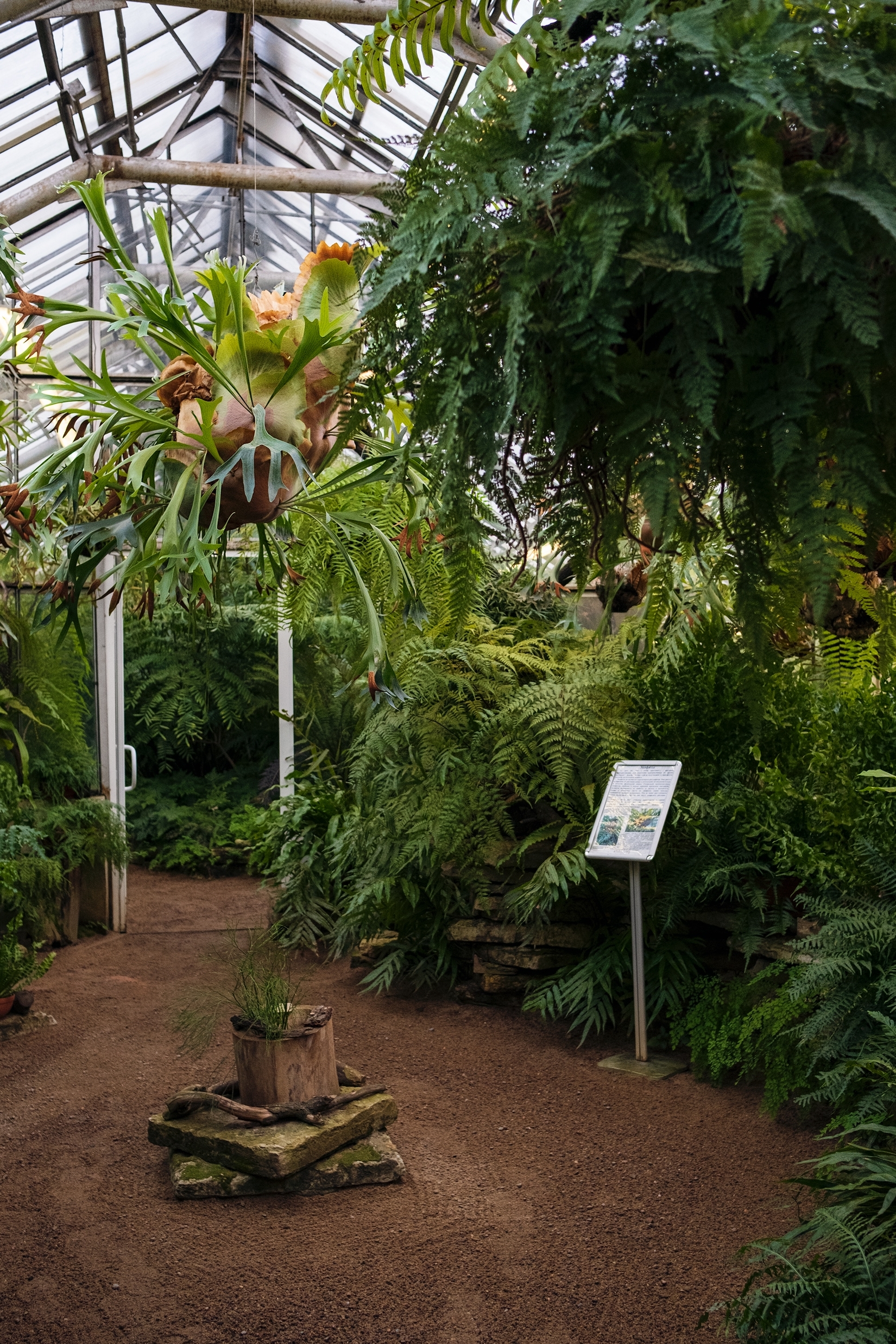 «Блокадная повесть Ботанического сада» расскажет о подвиге садоводов7