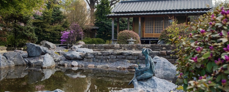 Обложка: В Ботаническом саду объяснят значение воды