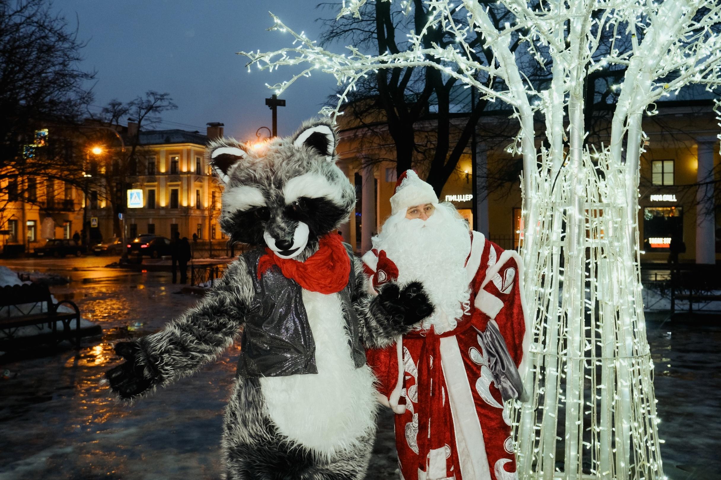 Уличная развлекательная программа «Новогодний хоровод»