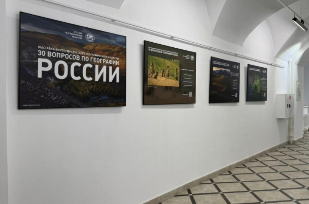 В РГПУ имени Герцена расскажут, как поведет себя морж при встрече с пингвином2
