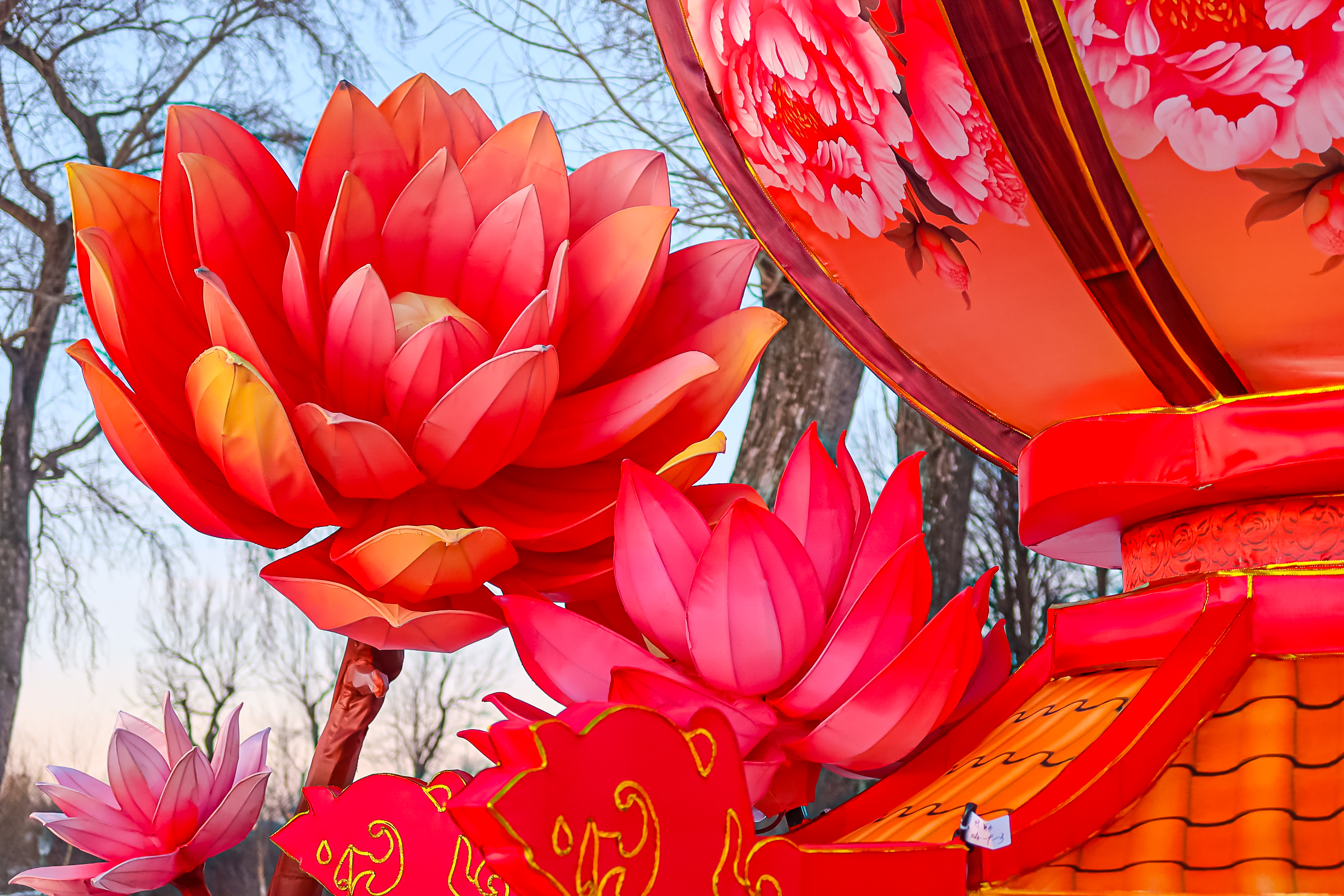 Драконы и фениксы из Цзыгуна поселились на Заячьем острове37