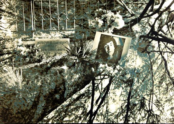 Галерея Art of Foto представляет выставку «Сон Комарова»