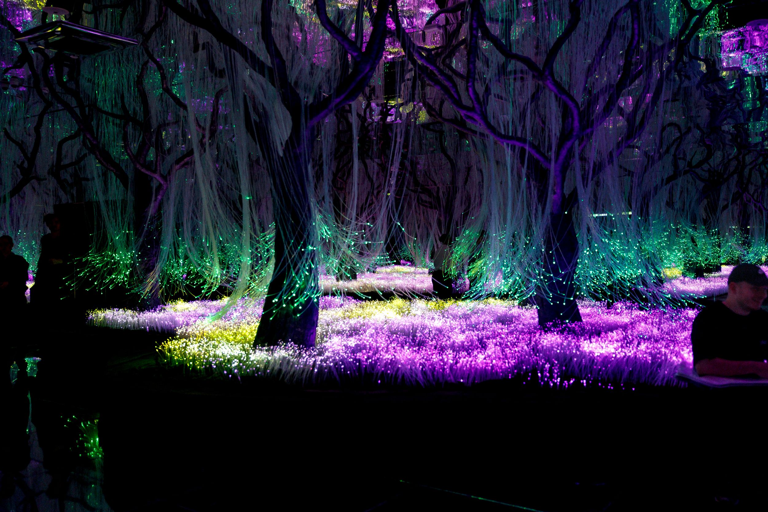 Новое арт-пространство Futurione Emotions погружает петербуржцев в мир чувств и инноваций4