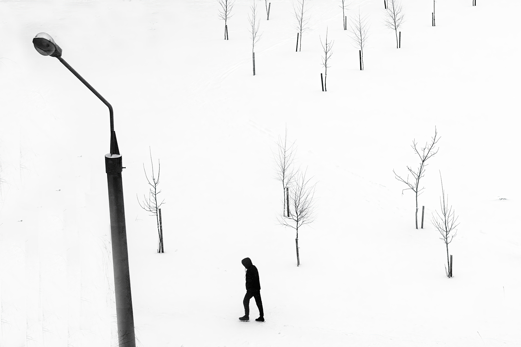 100 авторов представят своё видение мира в Центре книги и графики   6