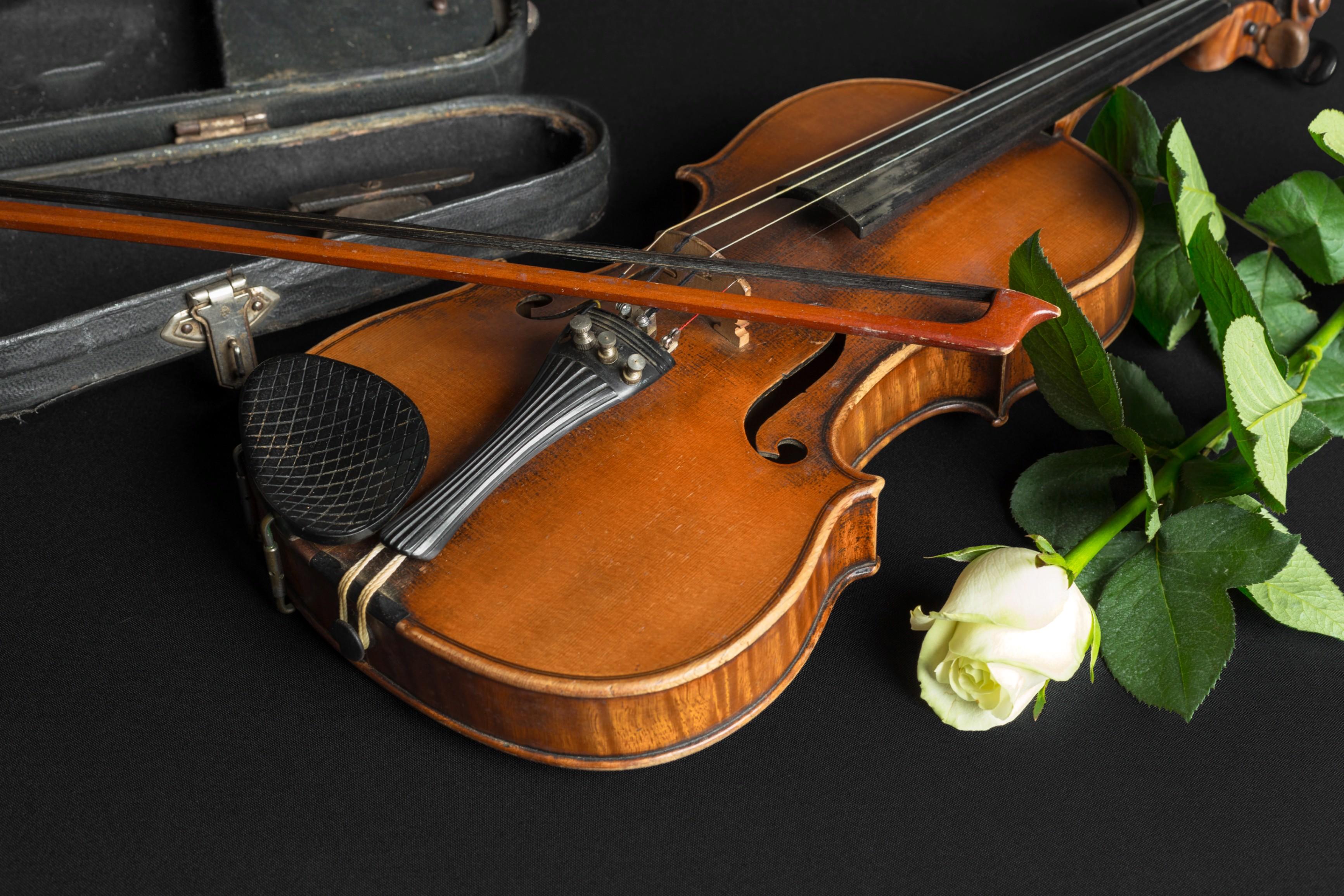 https://ru.freepik.com/free-photo/violin-and-rose-on-black-background_20989040.htm#query=%D0%BC%D1%83%D0%B7%D1%8B%D0%BA%D0%B0%D0%BB%D1%8C%D0%BD%D1%8B%D0%B5%20%D0%B8%D0%BD%D1%81%D1%82%D1%80%D1%83%D0%BC%D0%B5%D0%BD%D1%82%D1%8B%20%D1%81%20%D1%86%D0%B2%D0%B5%D1%82%D0%B0%D0%BC%D0%B8&position=41&from_view=search&track=ais&uuid=73bec1c7-876f-45a0-8a56-ccf6dd66d398