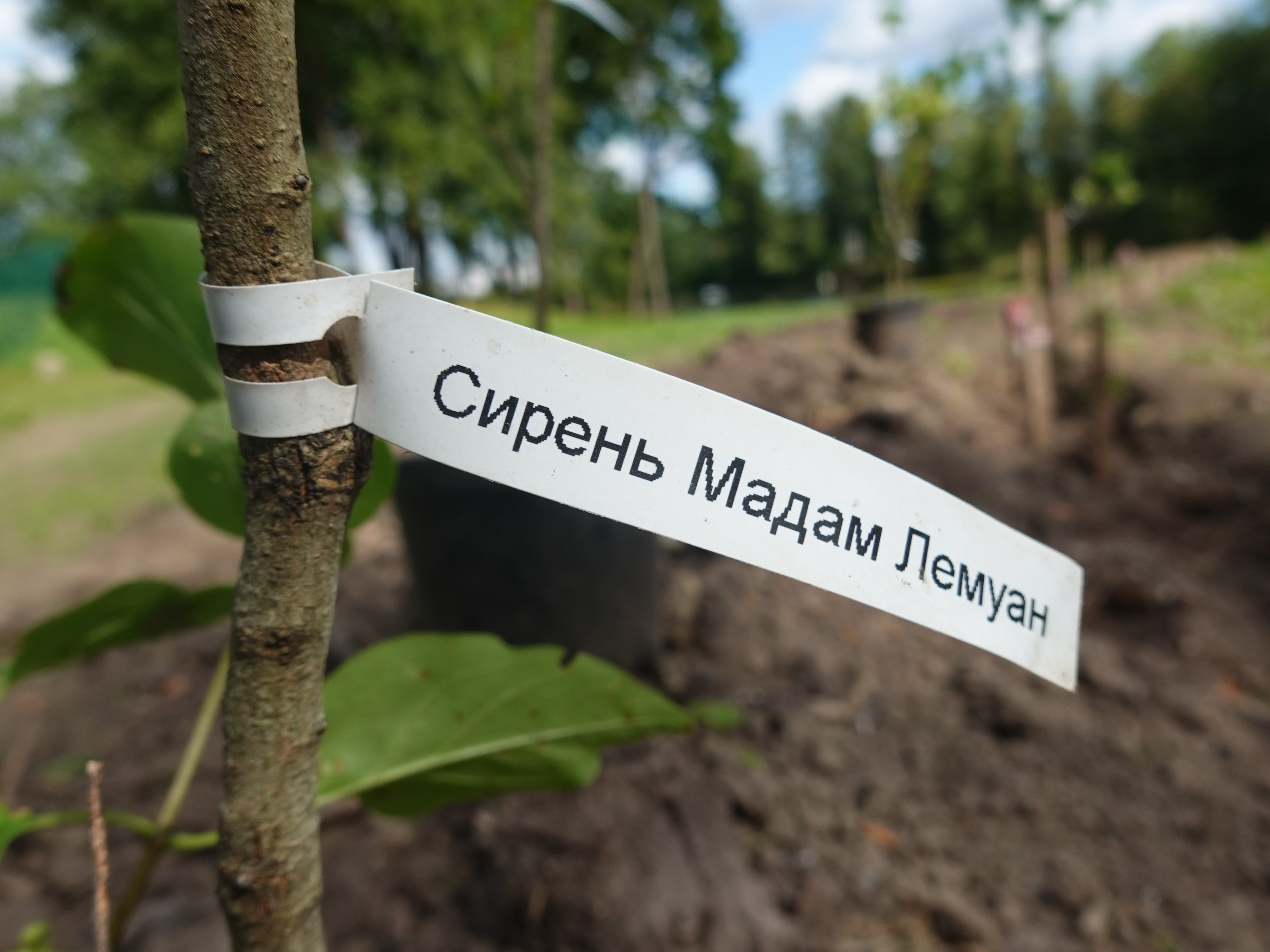 В Гатчине восстановили колодец Ринальди3