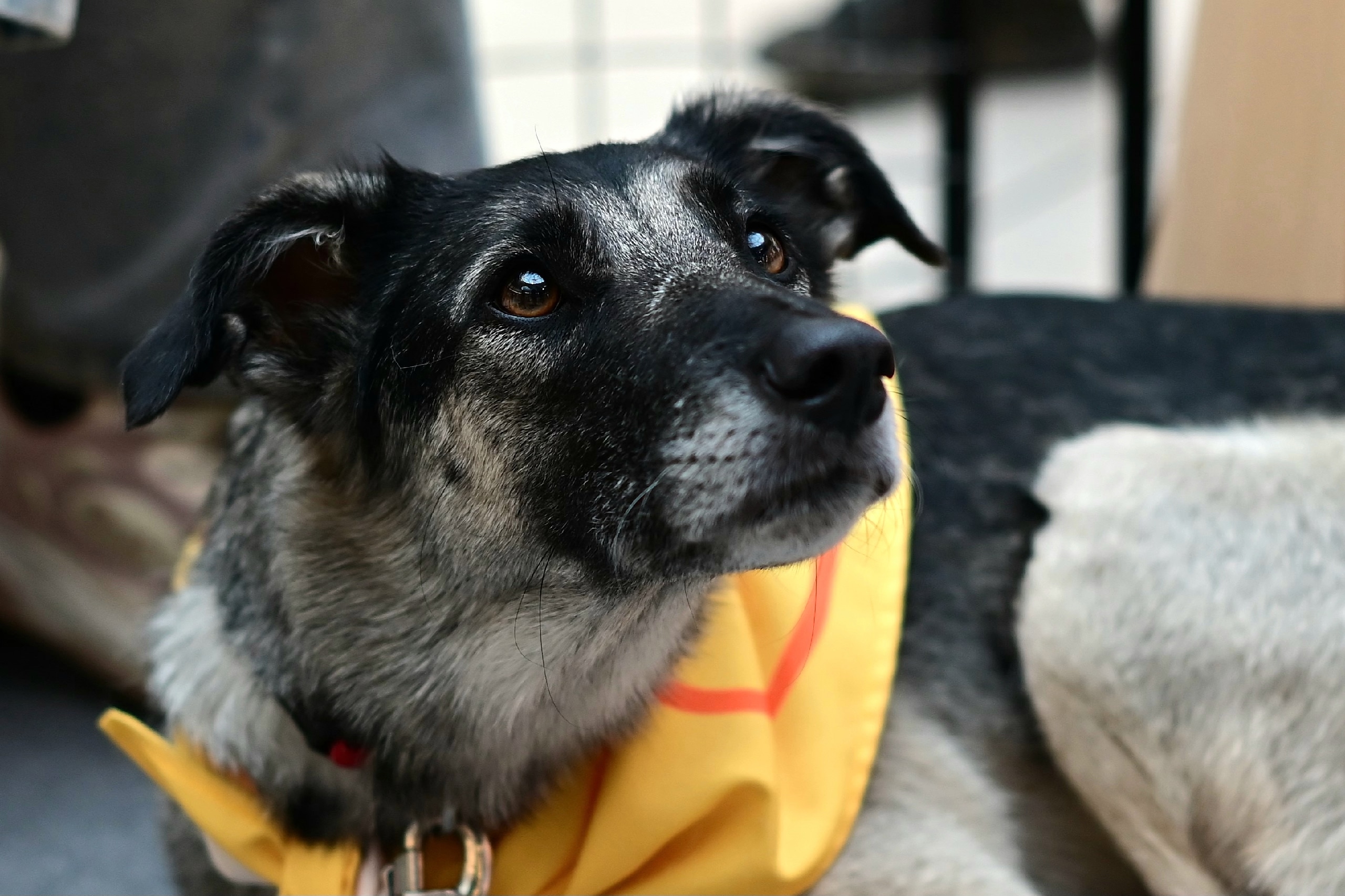 «Путь домой» вернётся в «Лето» в разгар зимы2