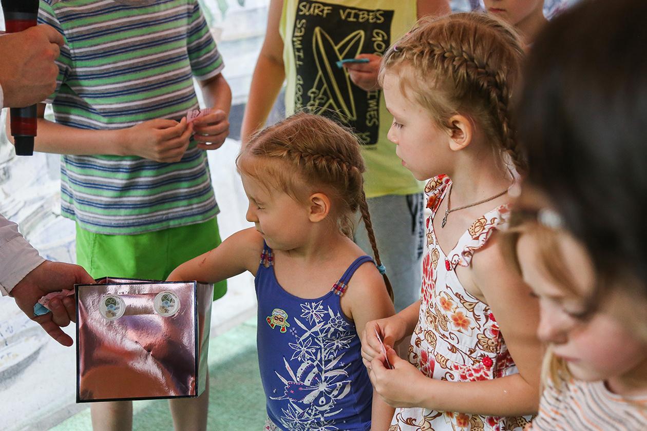 МК в Разливе