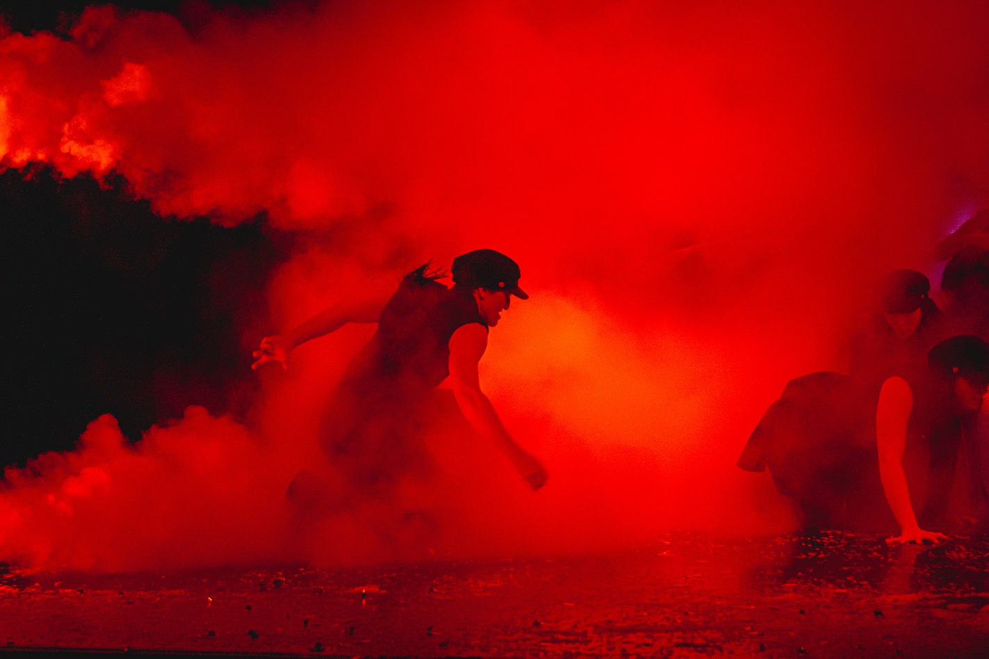 «При подготовке шоу ни один ушастый не пострадал»10