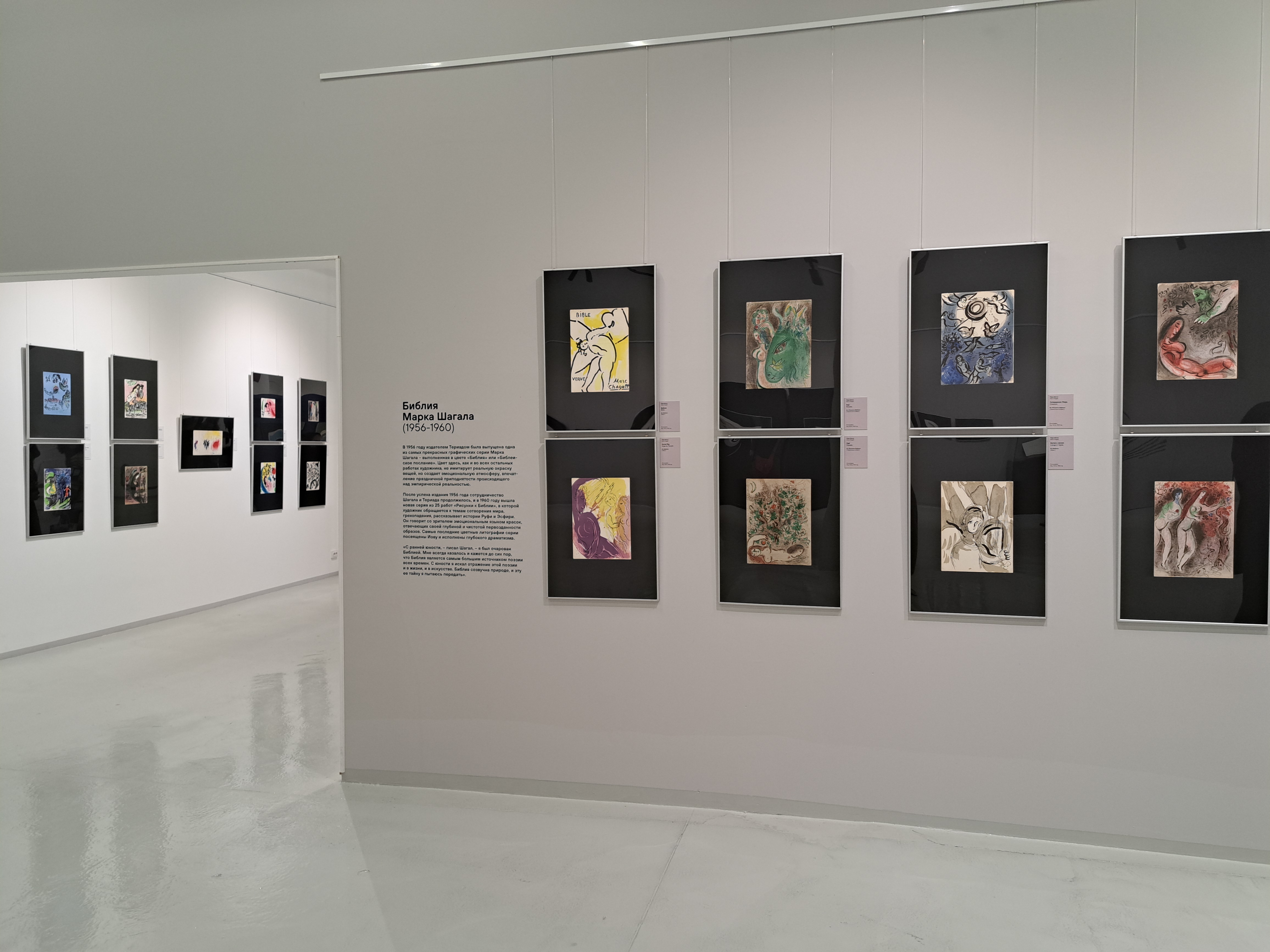 Выставка, посвященная Марку Шагалу: зрителей ждет невесомость2