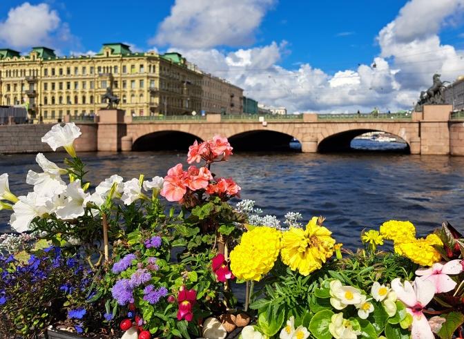 Международный день цветка отметят в Петербурге