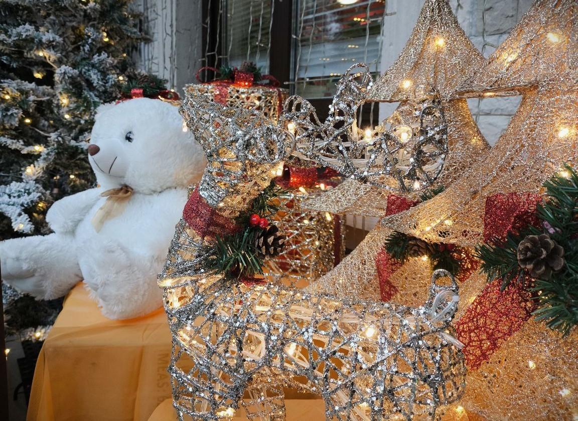 Личный архив фотографий Березиной Анастасии