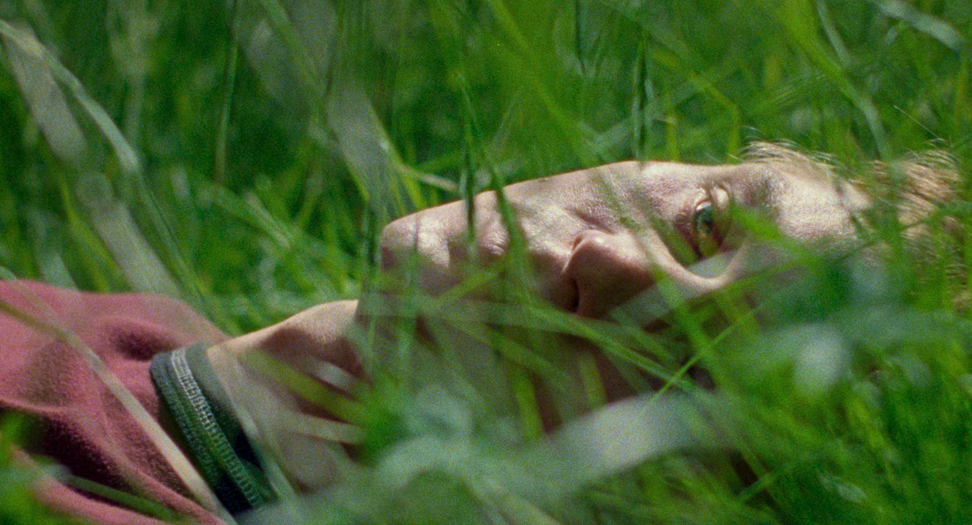 «Молчаливый друг» порассуждает о человеческой жизни в «Авроре»4