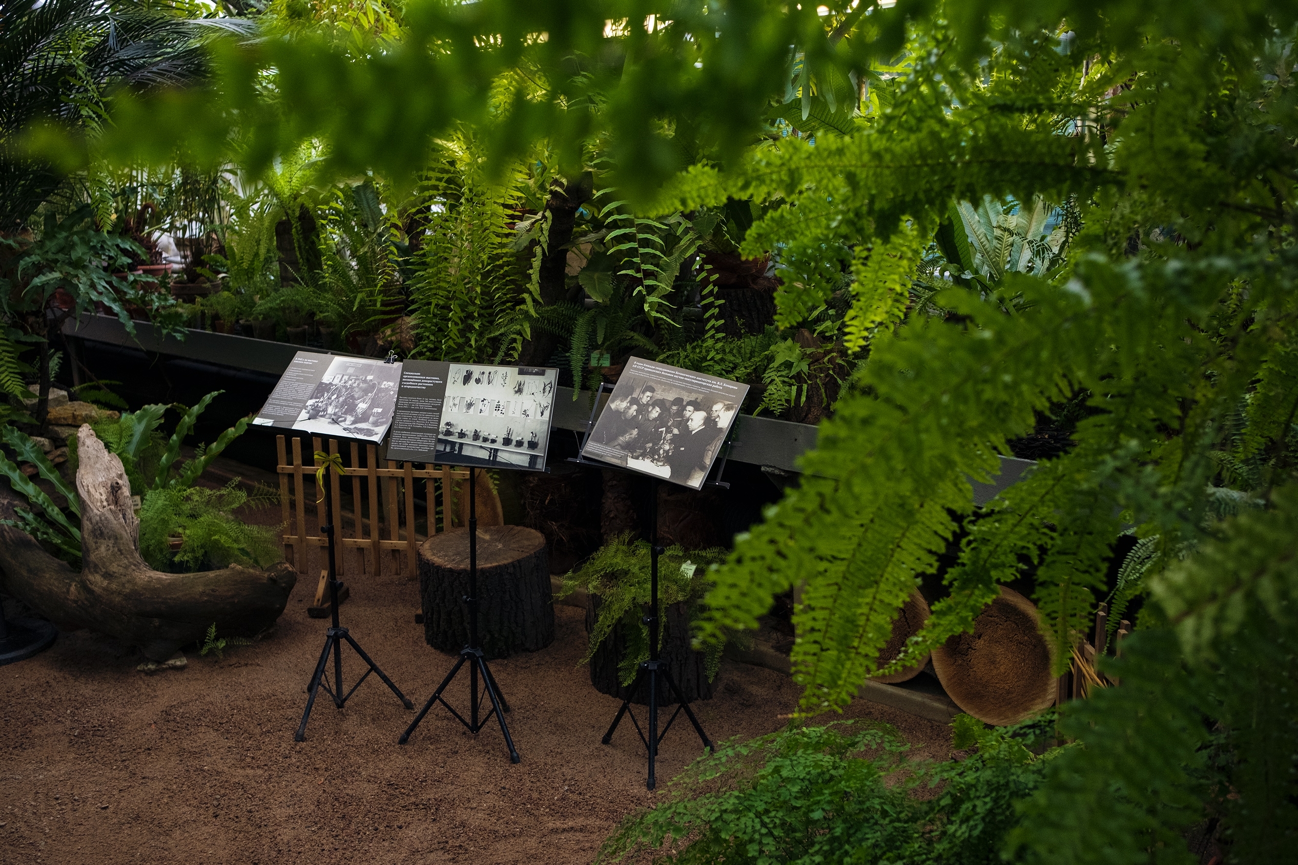 «Блокадная повесть Ботанического сада» расскажет о подвиге садоводов5