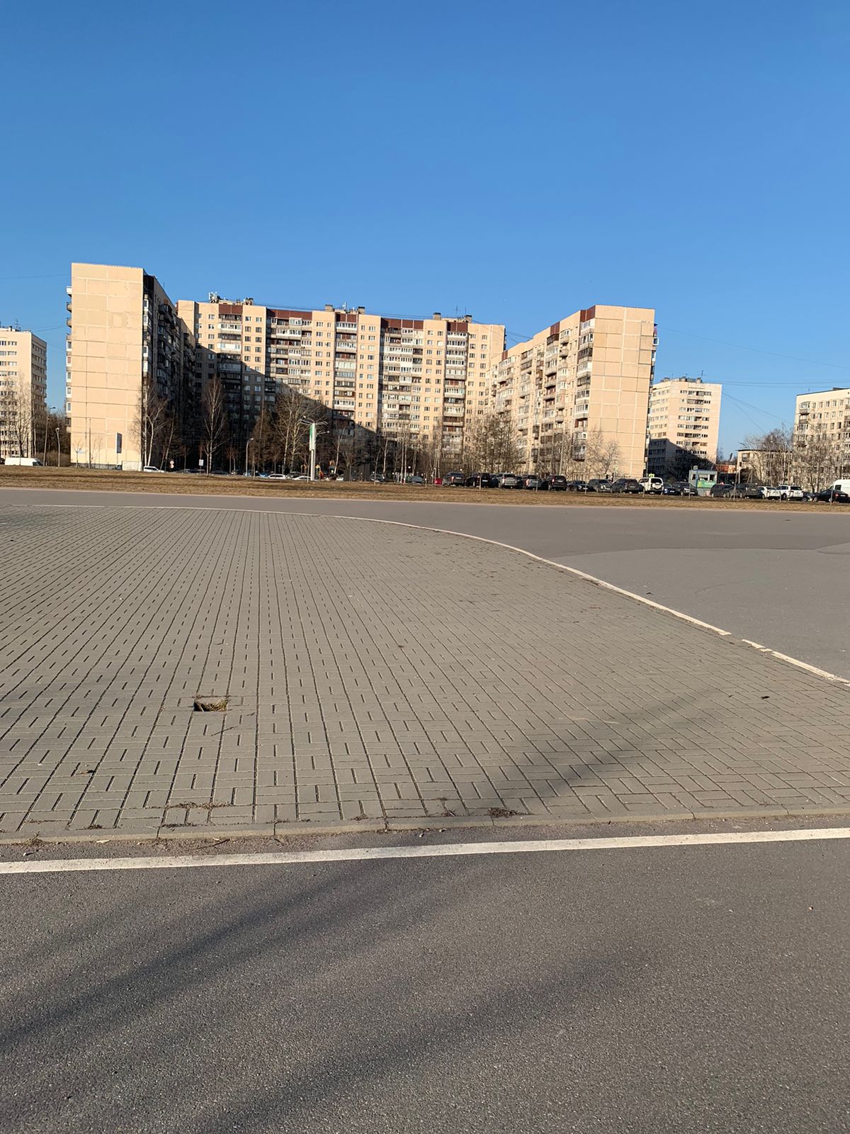 Муринский парк, 3-я очередь  (пр. Луначарского, напротив д.108, к.1)
