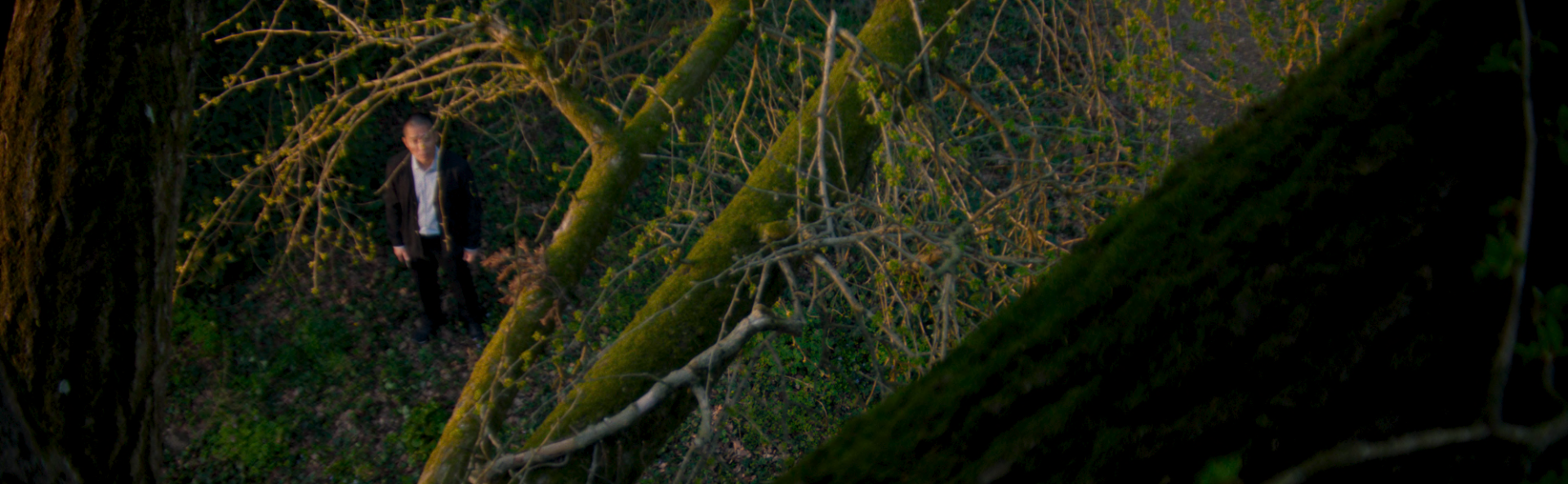 Правообладатель фото: Пресс-служба кинотеатра «Аврора». 