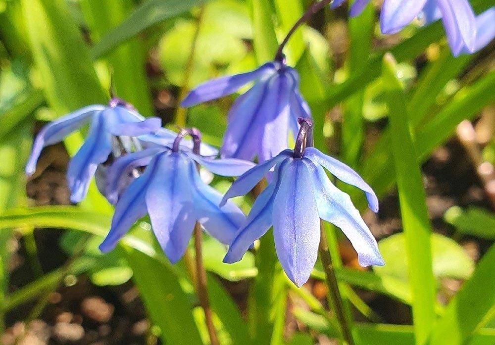 Архив СПБ ГБУК "ЦБС Кировского района"