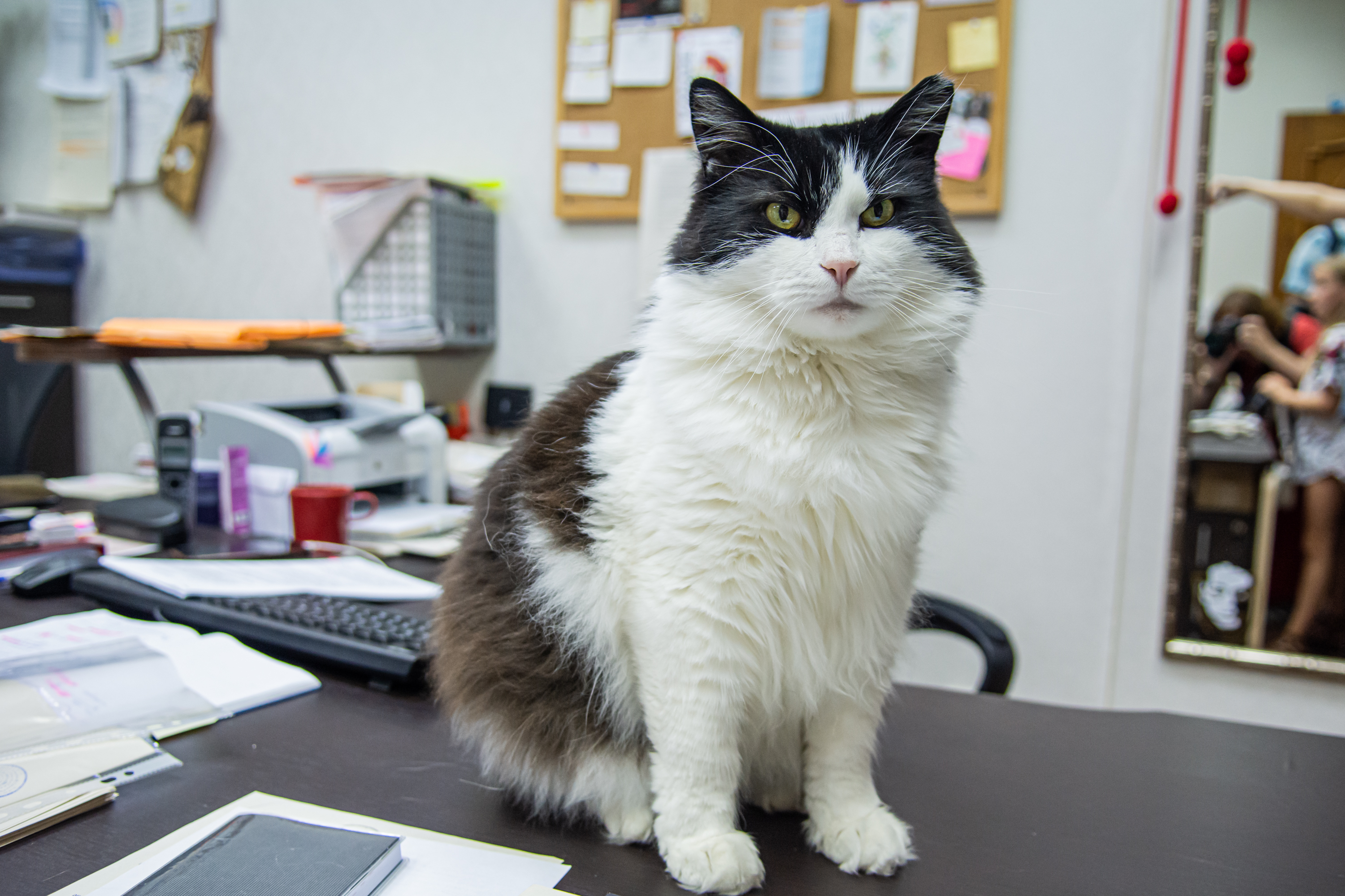 Проход за кулисы разрешен!2