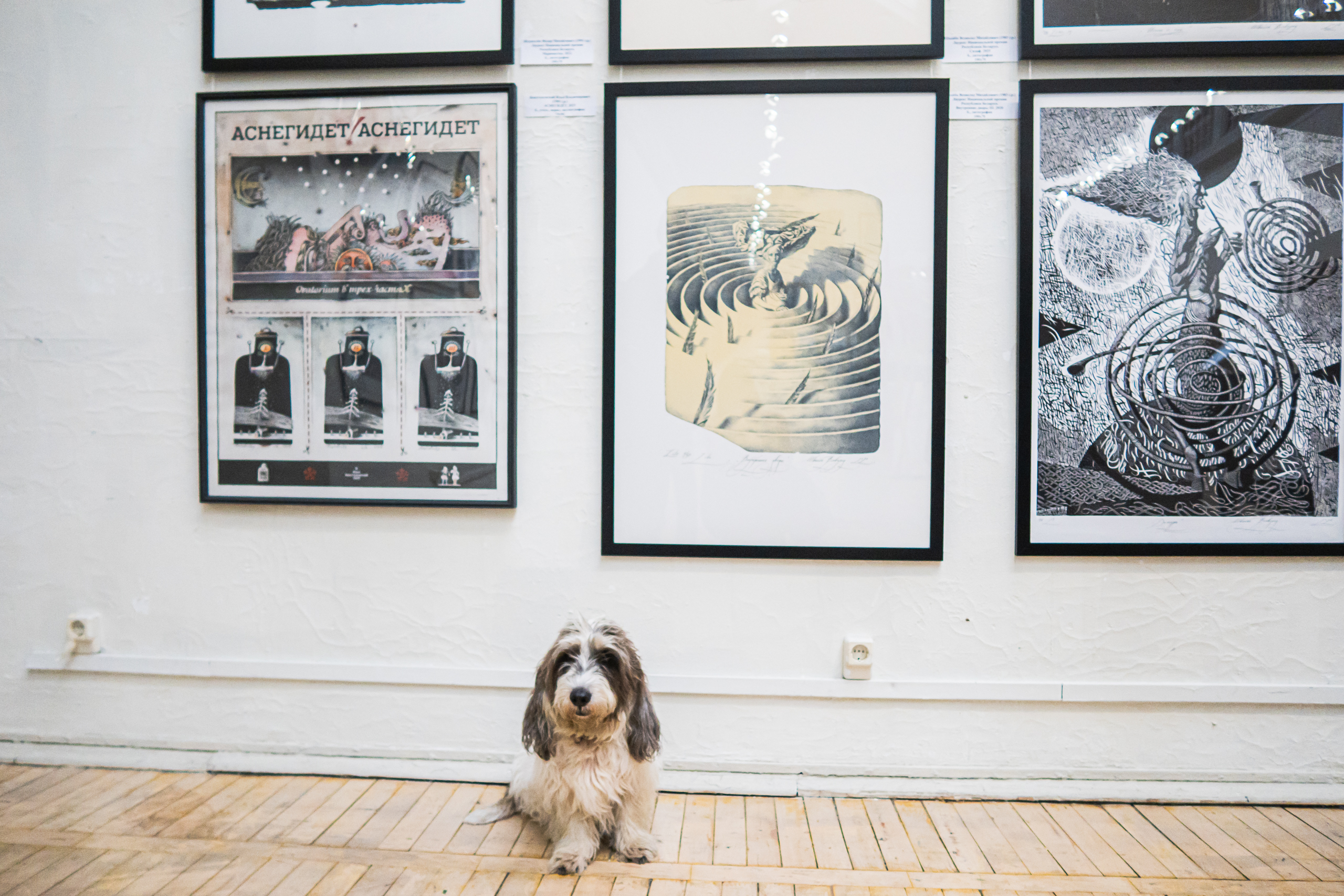 В Cоюзе художников дали старт «Весне» 7