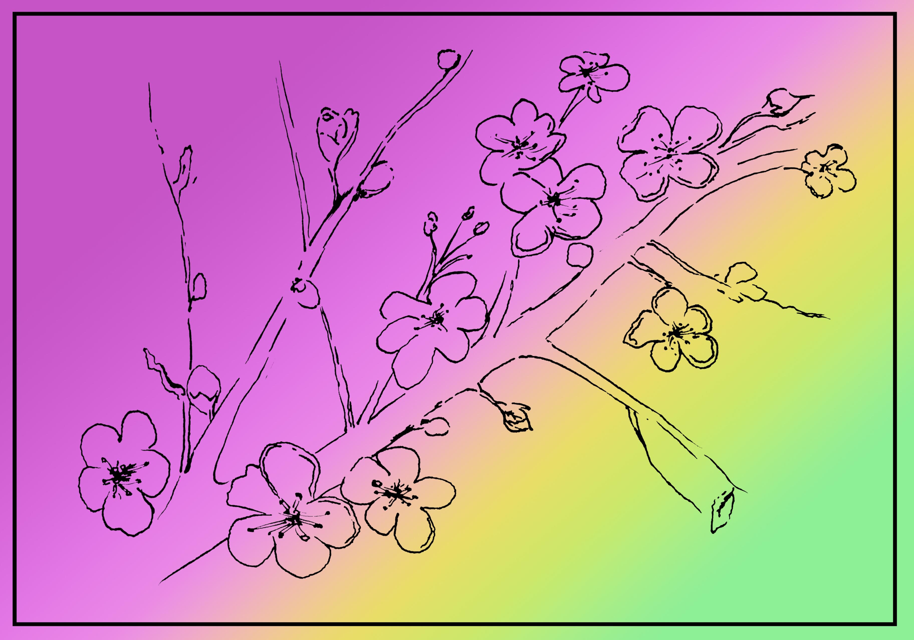 Флерова Е.А.