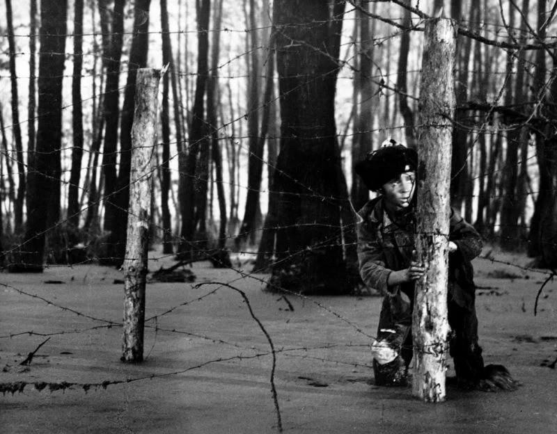Фильм «Иваново детство» (СССР, 1962)