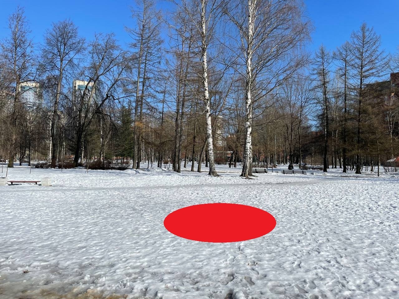 Берёзовый сад между Забайкальской ул., пр.Энгельса, Олонецкой ул.  и Костромским пр.