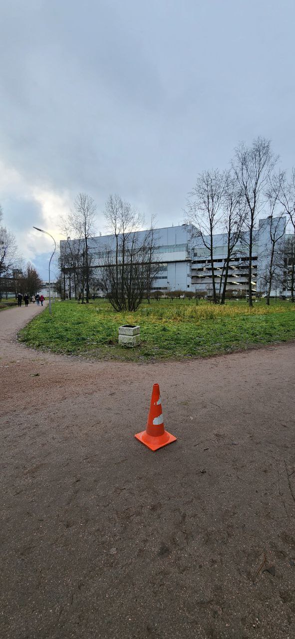 Парк Есенина