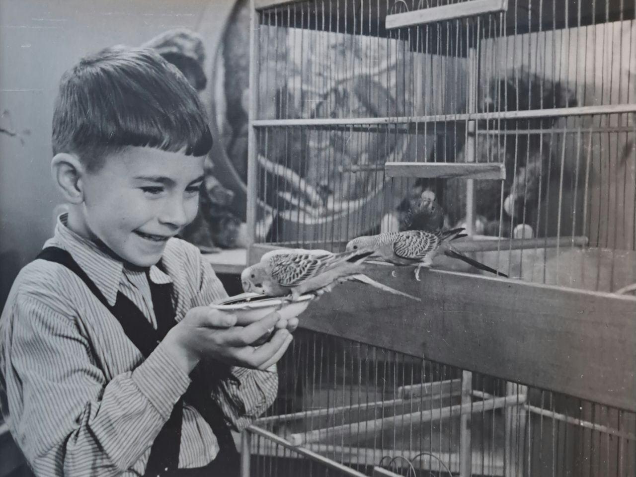 Архив И.Д. Чечота