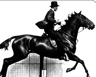 Правообладатель фото: Пресс-служба фестиваля «ПитерДок».