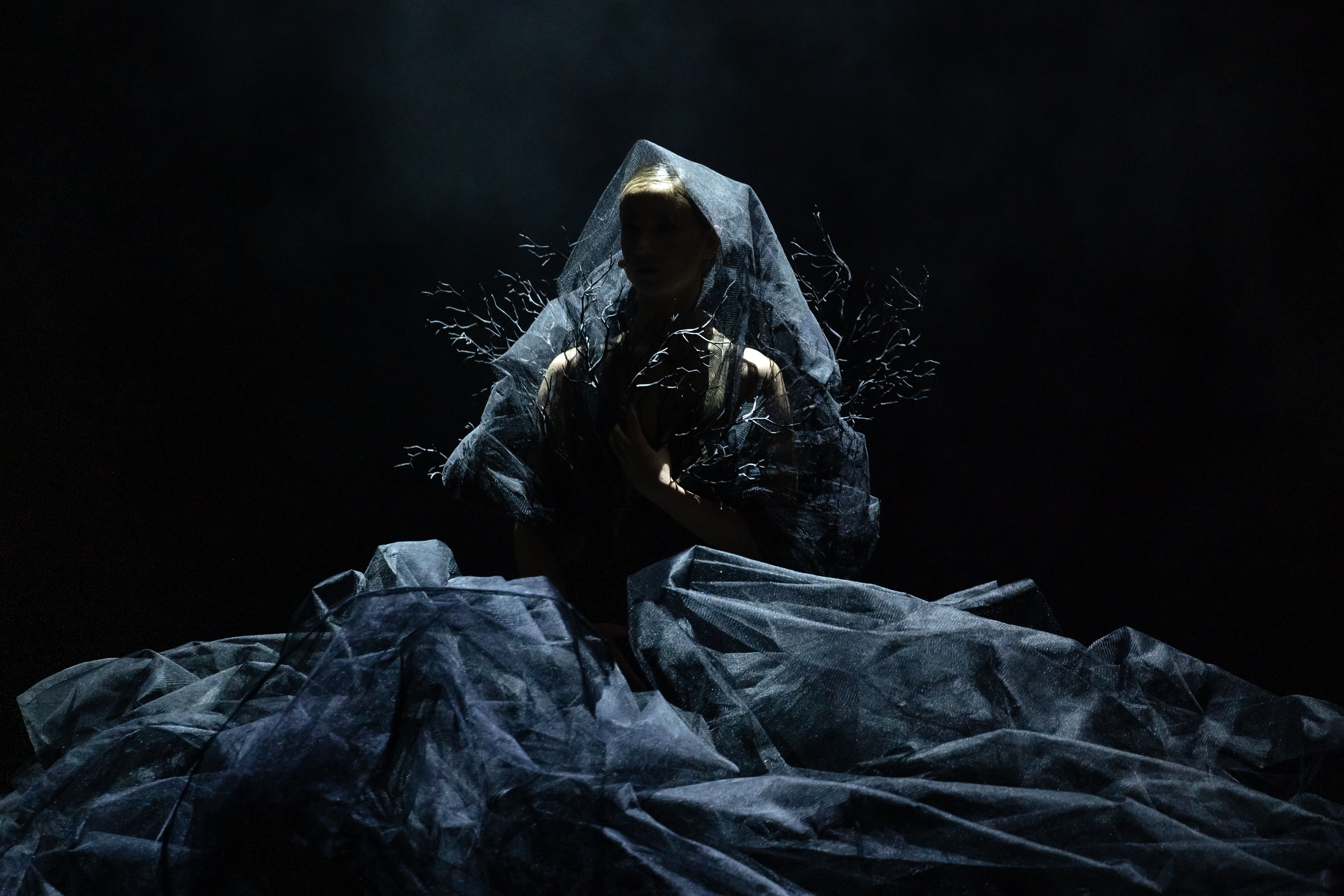 В Северной столице состоится II Фестиваль искусств имени Ф.И. Шаляпина «Дар»8