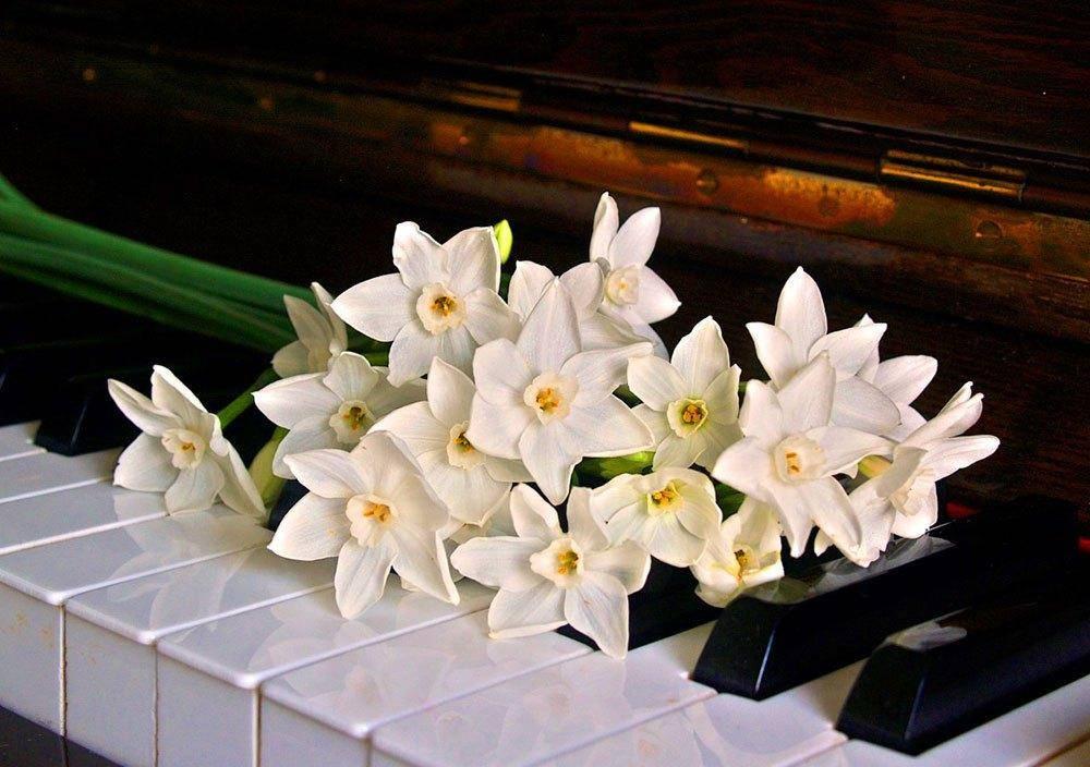 https://aprel-saratov.ru/news/tpost/k2j3kfmv51-muzikalnaya-podderzhka-rastenii