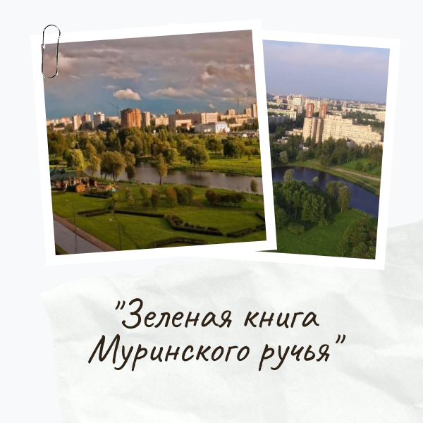 Библиотеки Калининского района анонсировали план на декабрь9