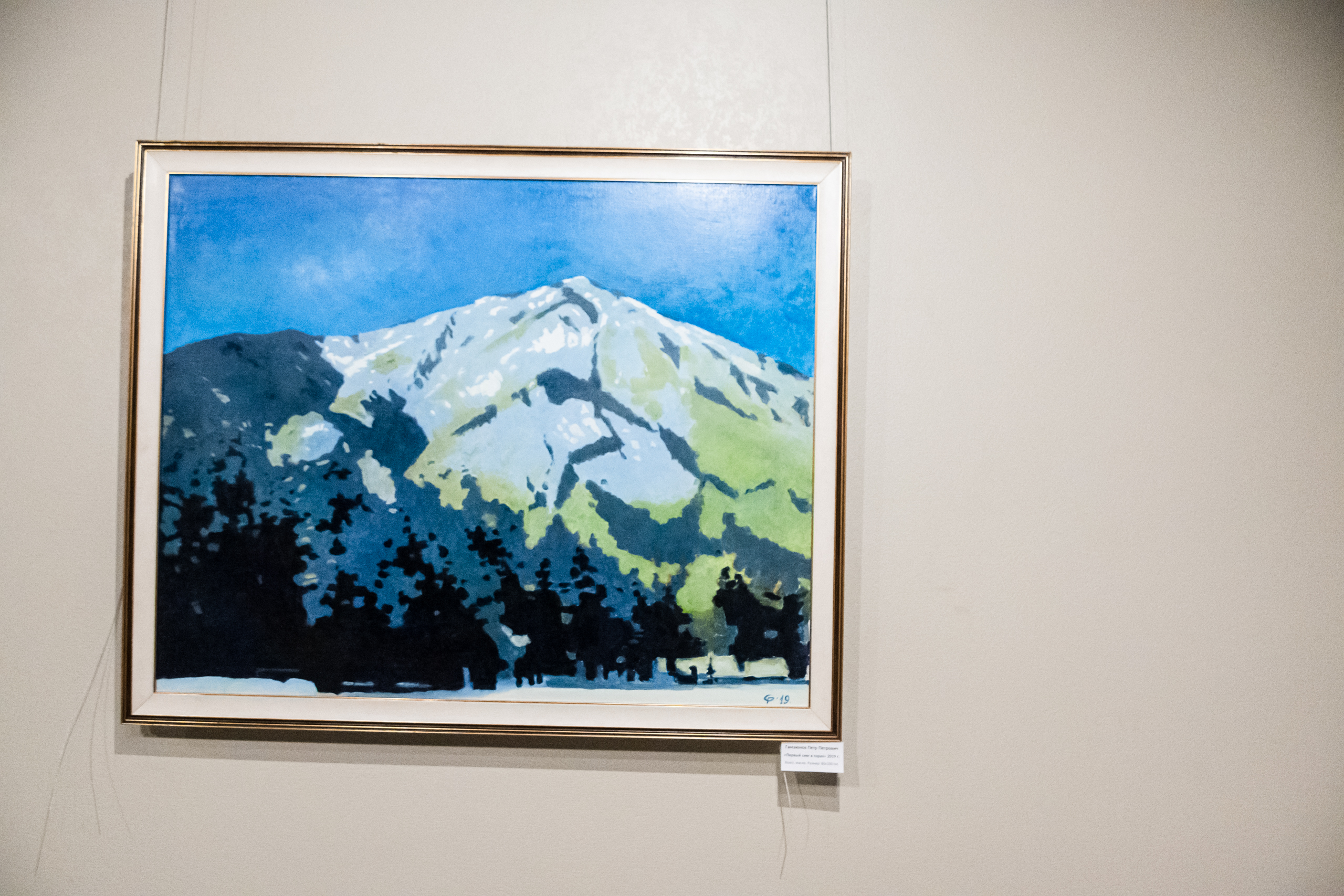 Вся красота зимы предстала на выставке Петра Гамаюнова10