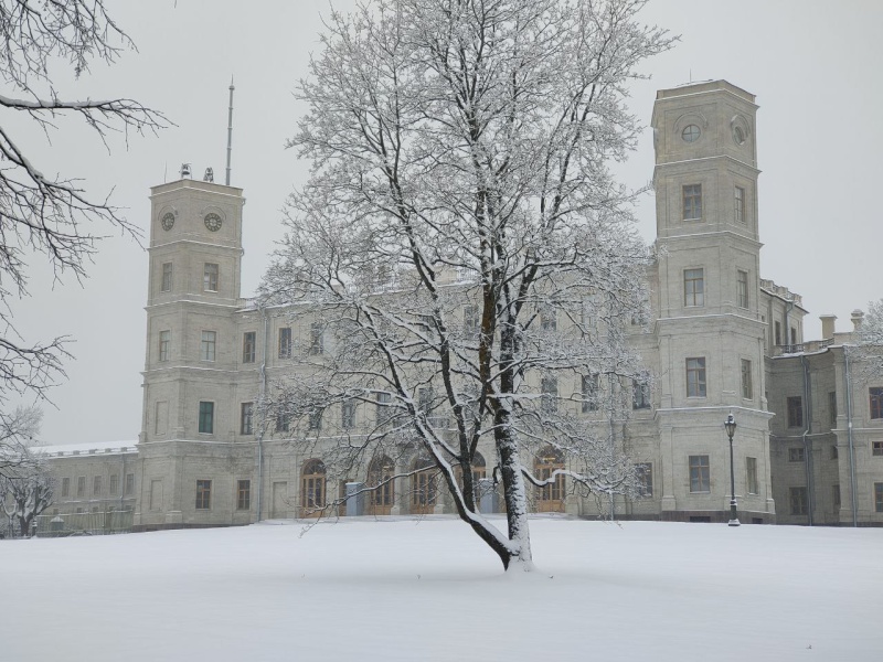Правообладатель фото: Пресс-служба Санкт-Петербургской филармонии.