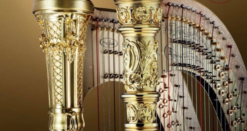 Фото заставки: vk.ru/goldenharp2024. Правообладатель: vk.ru/goldenharp2024.