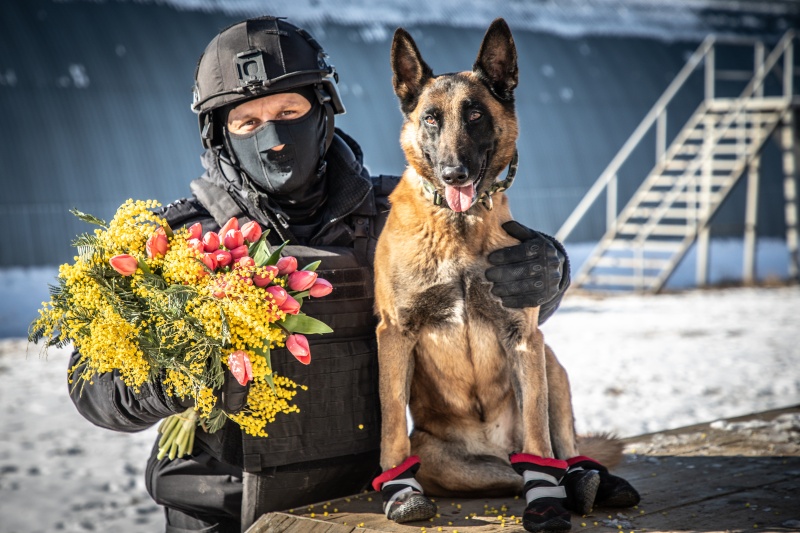 В Музее политической истории России откроется выставка «Хвостатые герои на фронте и в тылу»