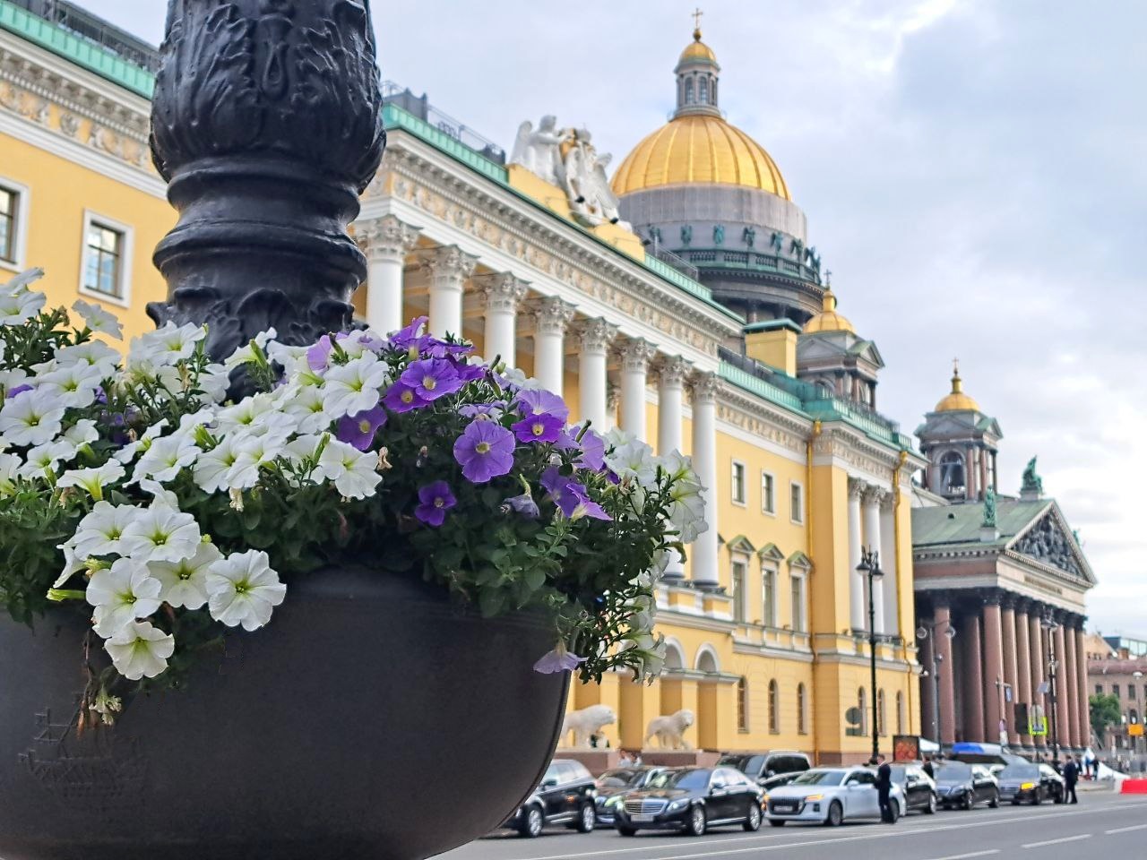 Международный день цветка отметят в Петербурге1
