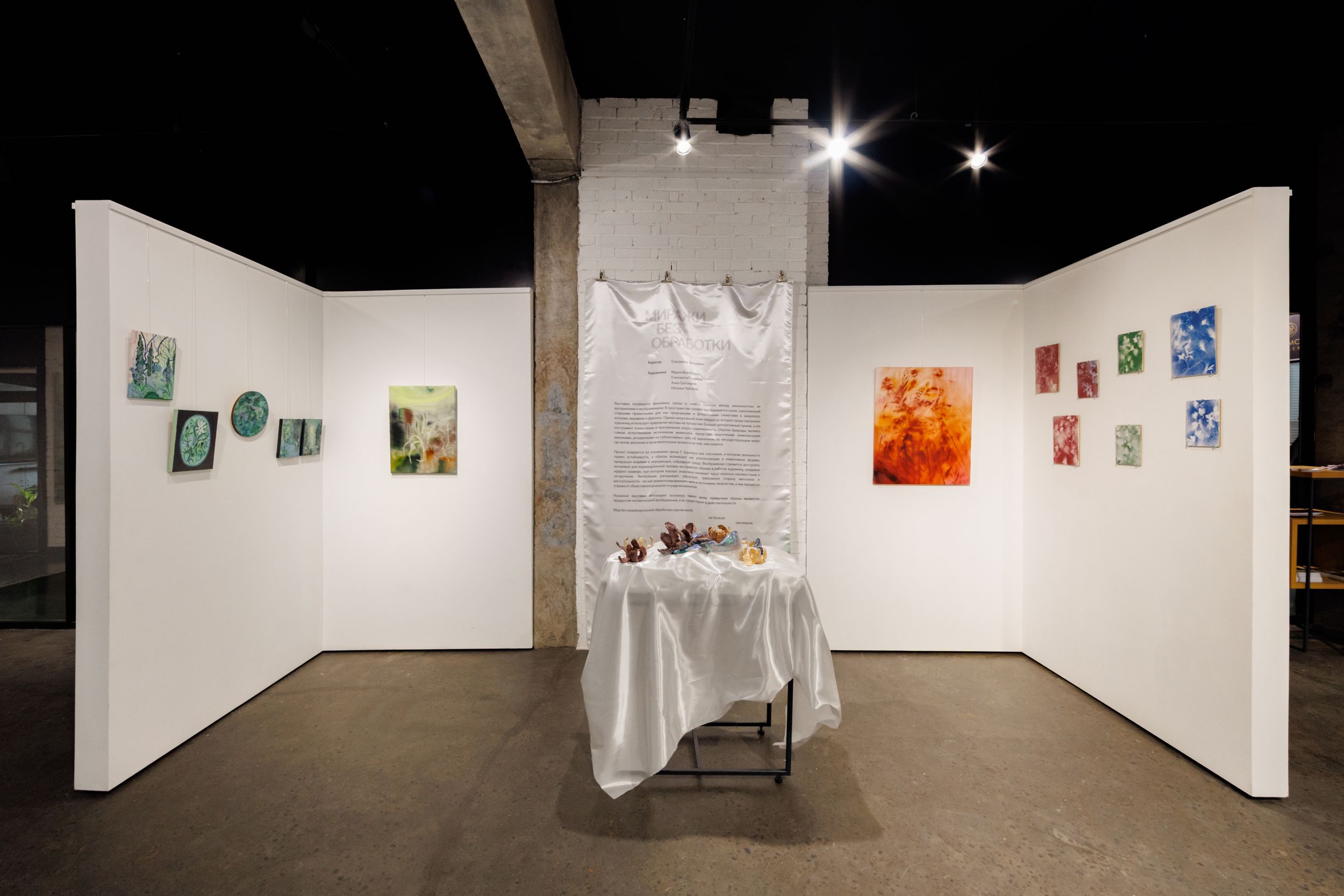 «Миражи без обработки» увидим в галерее Елены Абрамовой4