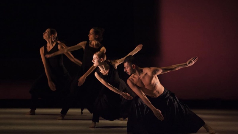 В медиацентре «Культура Петербурга» анонсировали программу Dance Open