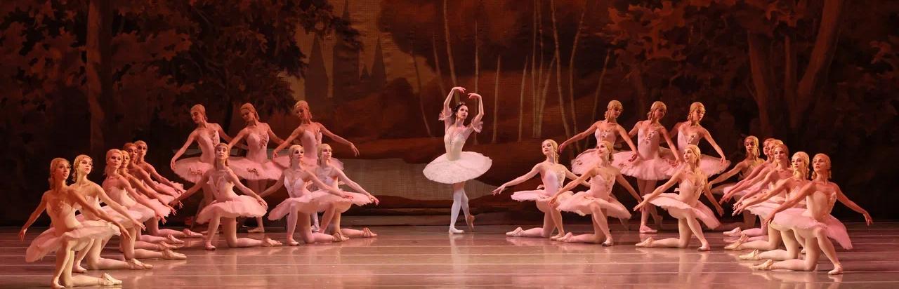 Обложка - Наташа Разина (2025).