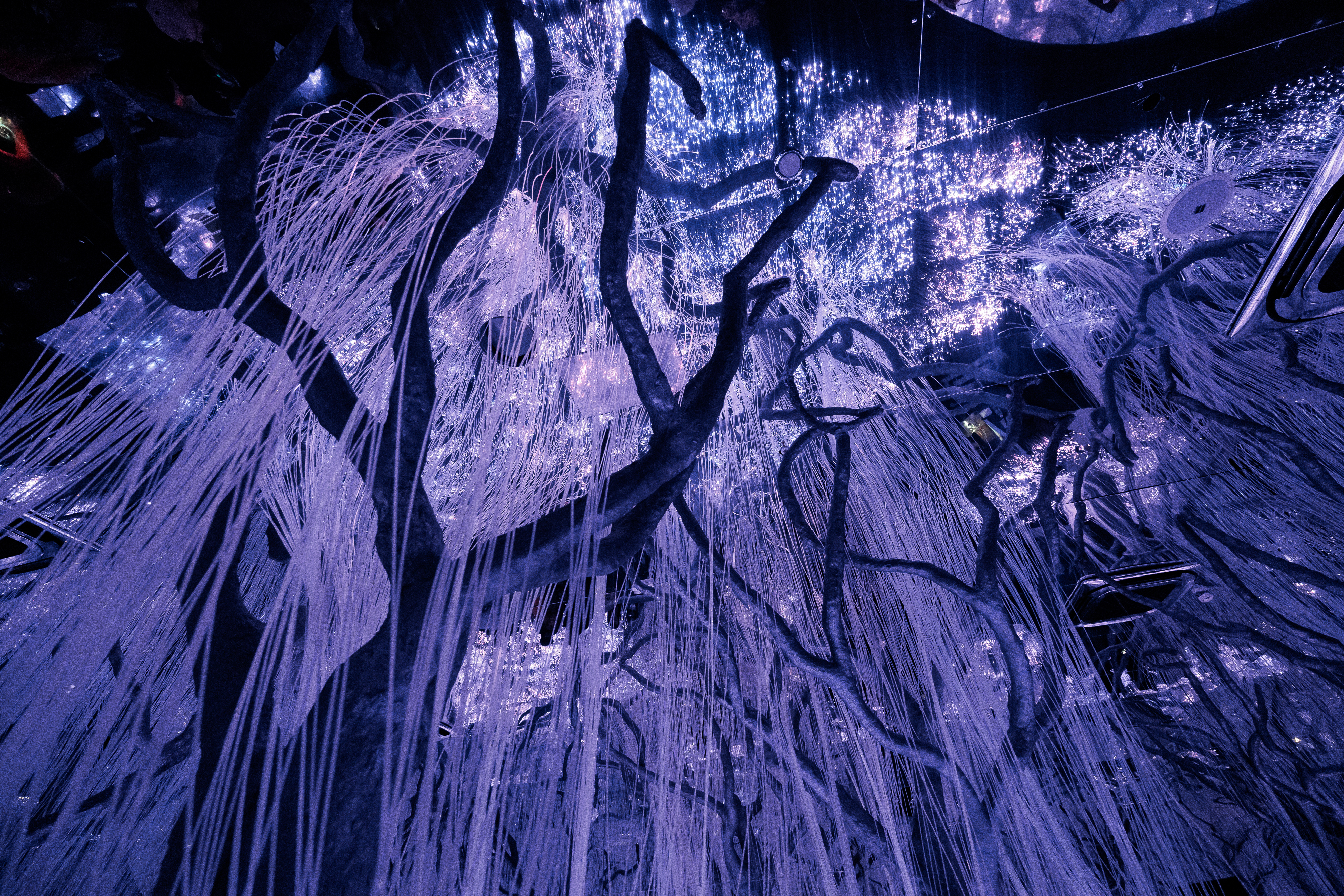 Новое арт-пространство Futurione Emotions погружает петербуржцев в мир чувств и инноваций1