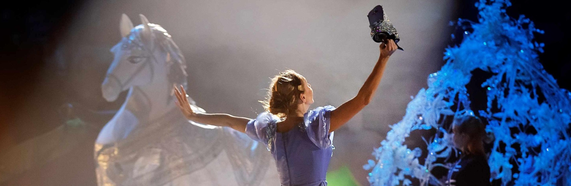 Правообладатель фото: Пресс-служба Санкт-Петербургского государственного Ледового театра. 