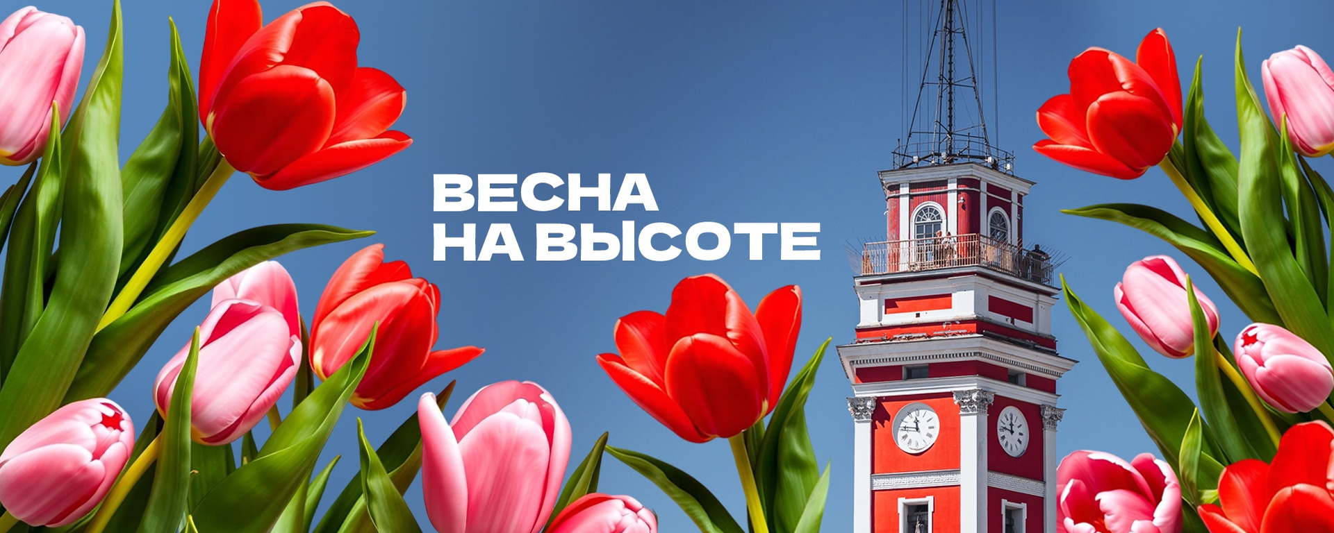 В Думской башне завершается фестиваль тюльпанов 