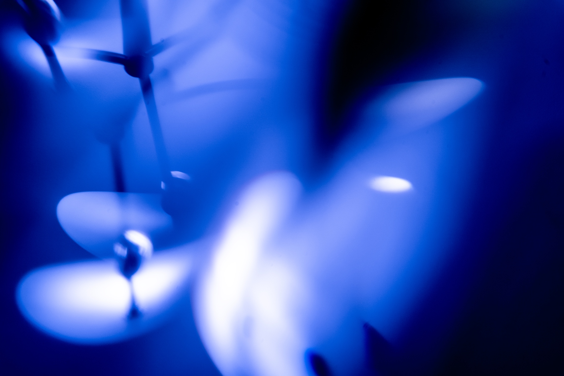 Выставка «Нерассказанные истории» откроется в арт-пространстве «ШКАФ»3