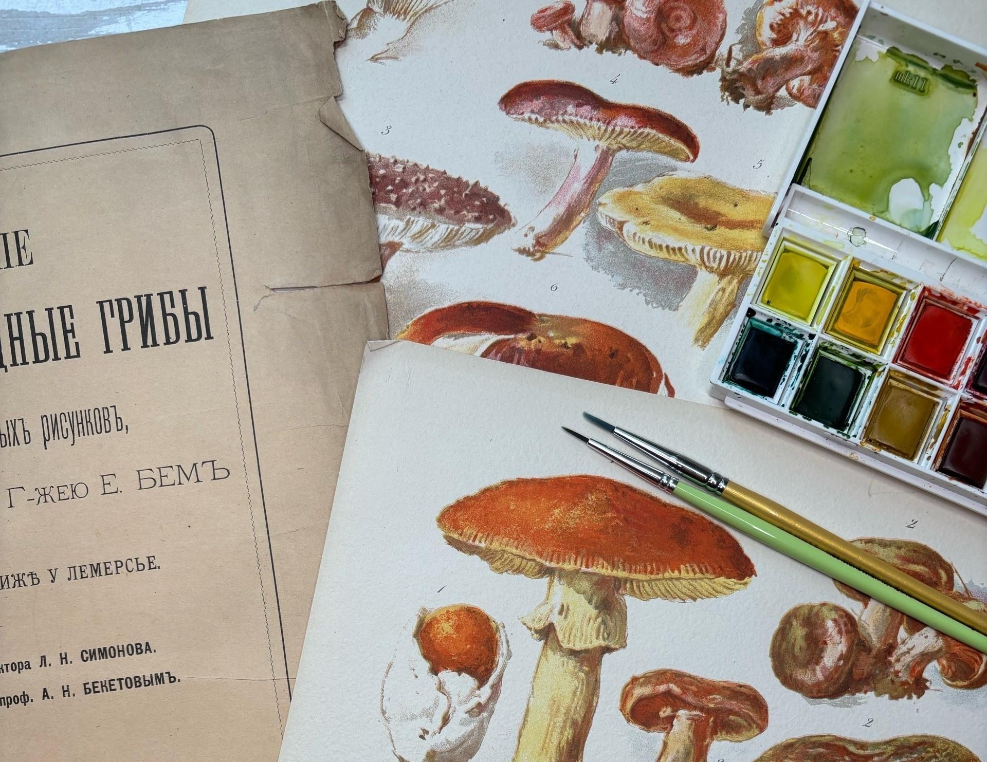 МЦБС им. М.Ю. Лермонтова