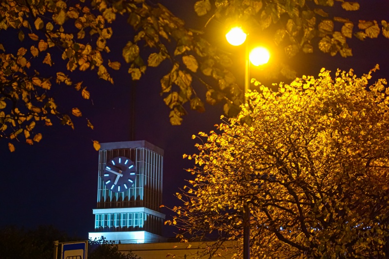 Бесплатные мероприятия в Петербурге: с 25 ноября по 8 декабря 2025 года