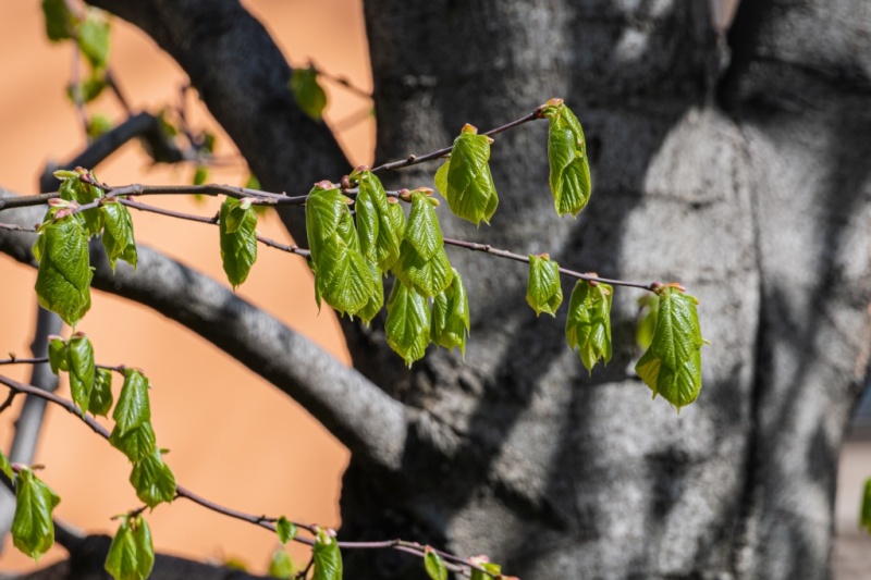 Куда пойти бесплатно в Петербурге: 21 - 30 апреля 2026 года