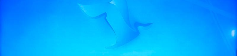 Итоги конкурса «Педагогическое призвание» подвели в медиацентре «Культура Петербурга»