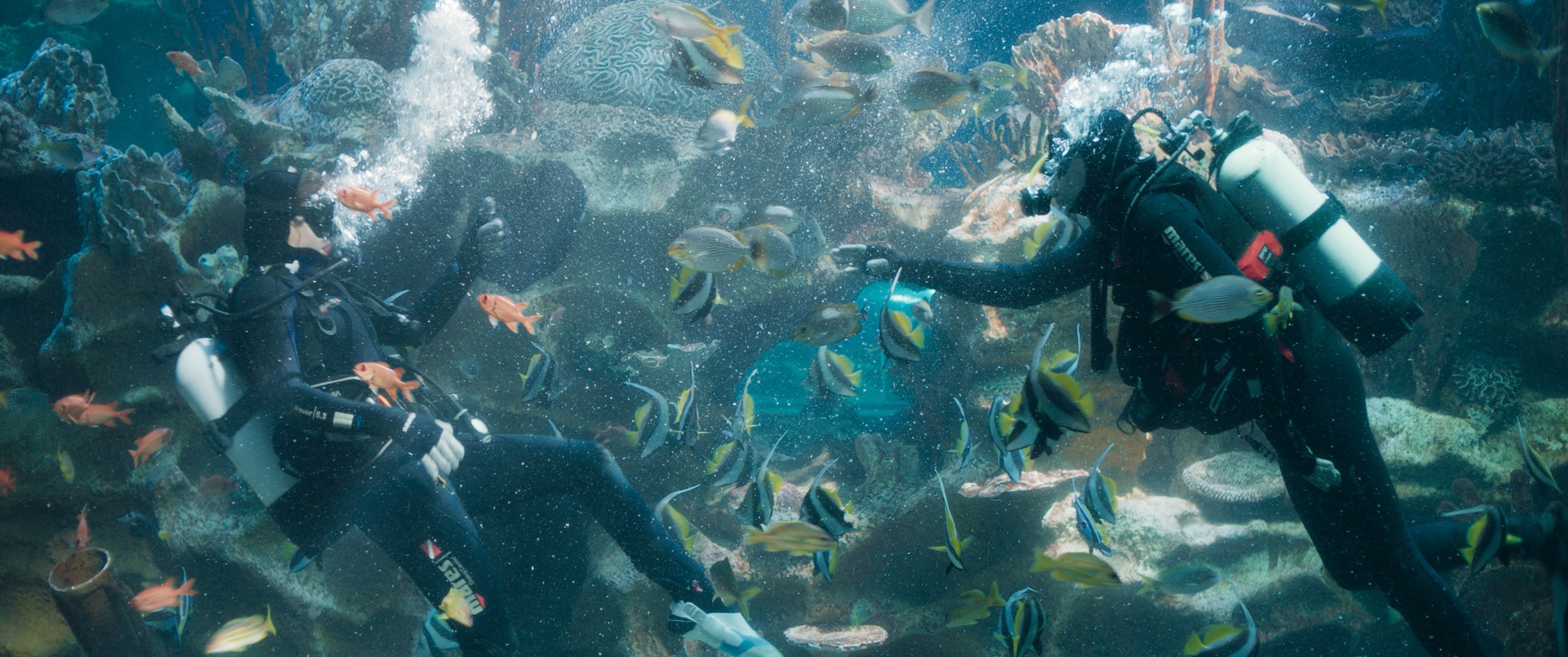 «Ленфильм» представит премьеру  драмы «Северная станция»